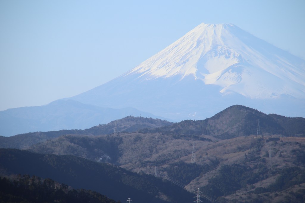 伊豆仙人掌公園