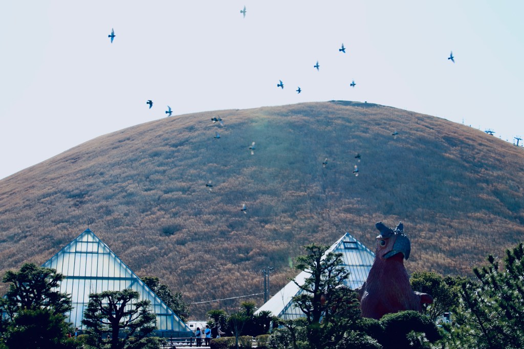 伊豆高原大室山