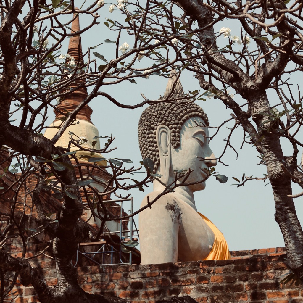 涯差蒙空寺 Wat Yai Chai Mongkhon 