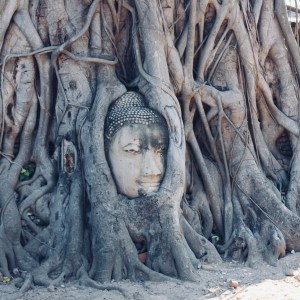 瑪哈泰寺 Wat Mahathat