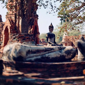 瑪哈泰寺 Wat Mahathat