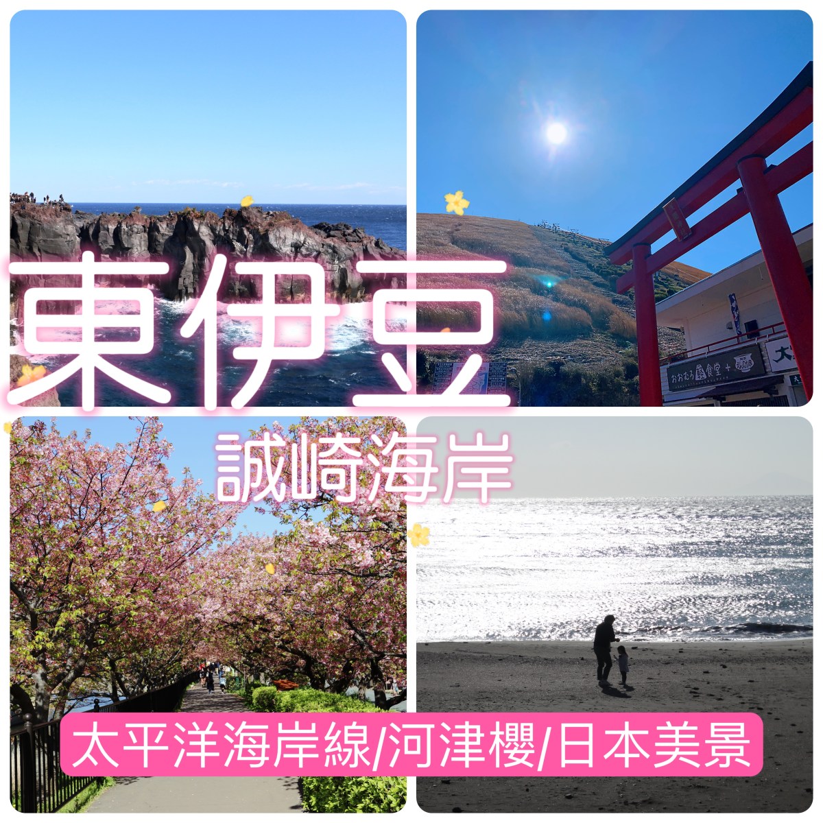 東伊豆「城崎海岸」 飽覽太平洋海岸線 +櫻花&nbsp;+日本自然景觀